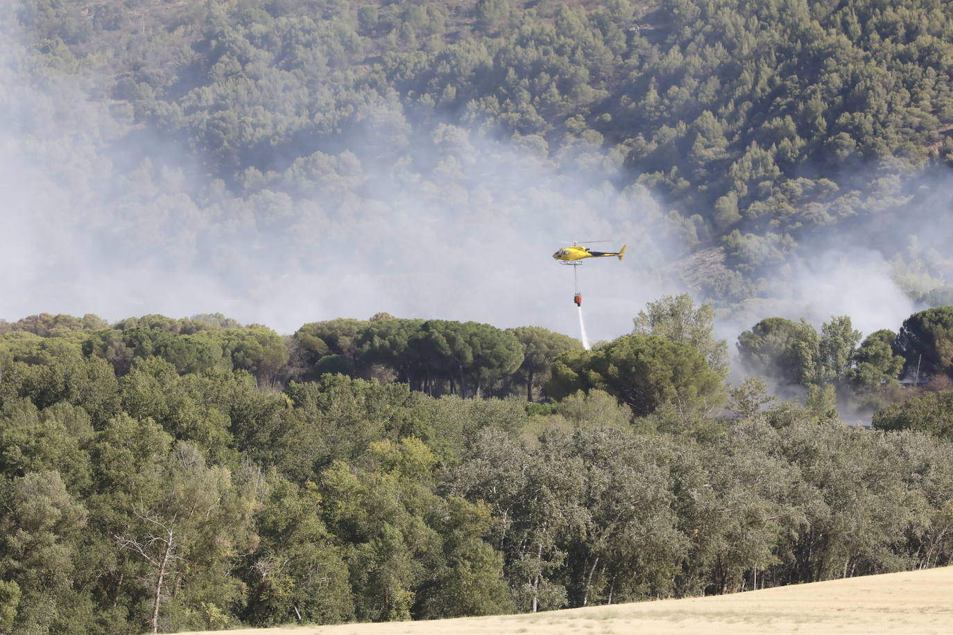 Incendio en Bocos de Duero