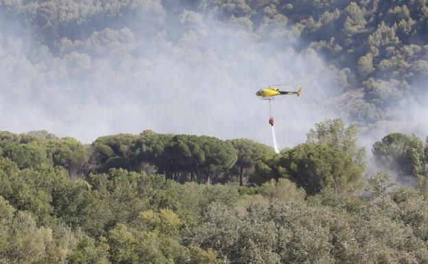 Incendio en un pinar próximo a Bocos de Duero, Valladolid