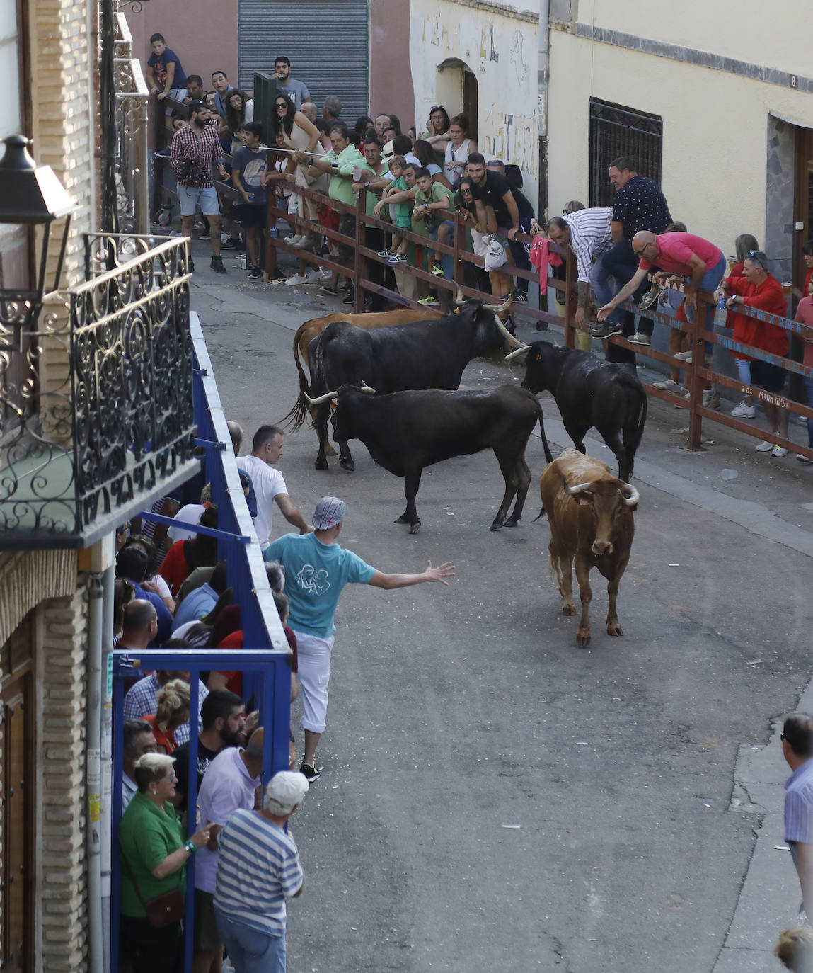 Encierro en las fiestas de San Bartolomé en Villarramiel