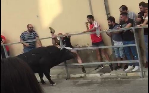 Corneado en la zona escrotal un madrileño de 26 años tras quedar enganchado en una talanquera en el encierro de Cuéllar
