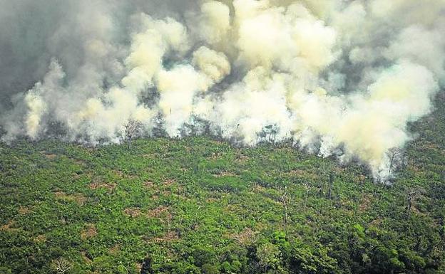 La Amazonía en llamas