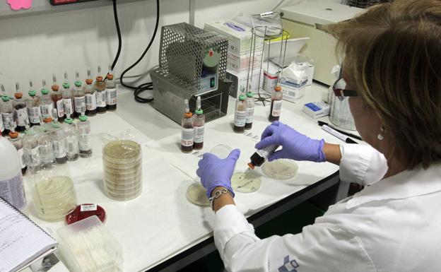 Sanidad reconoce fallos de control alimentario en el brote de listeria