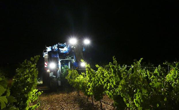 Los viticultores aplauden la llegada de la lluvia porque «empezaba a hacer falta»