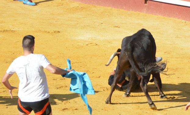 Un joven de Traspinedo sufre un varetazo y un turista francés resulta herido en un glúteo en los toros de Cuéllar