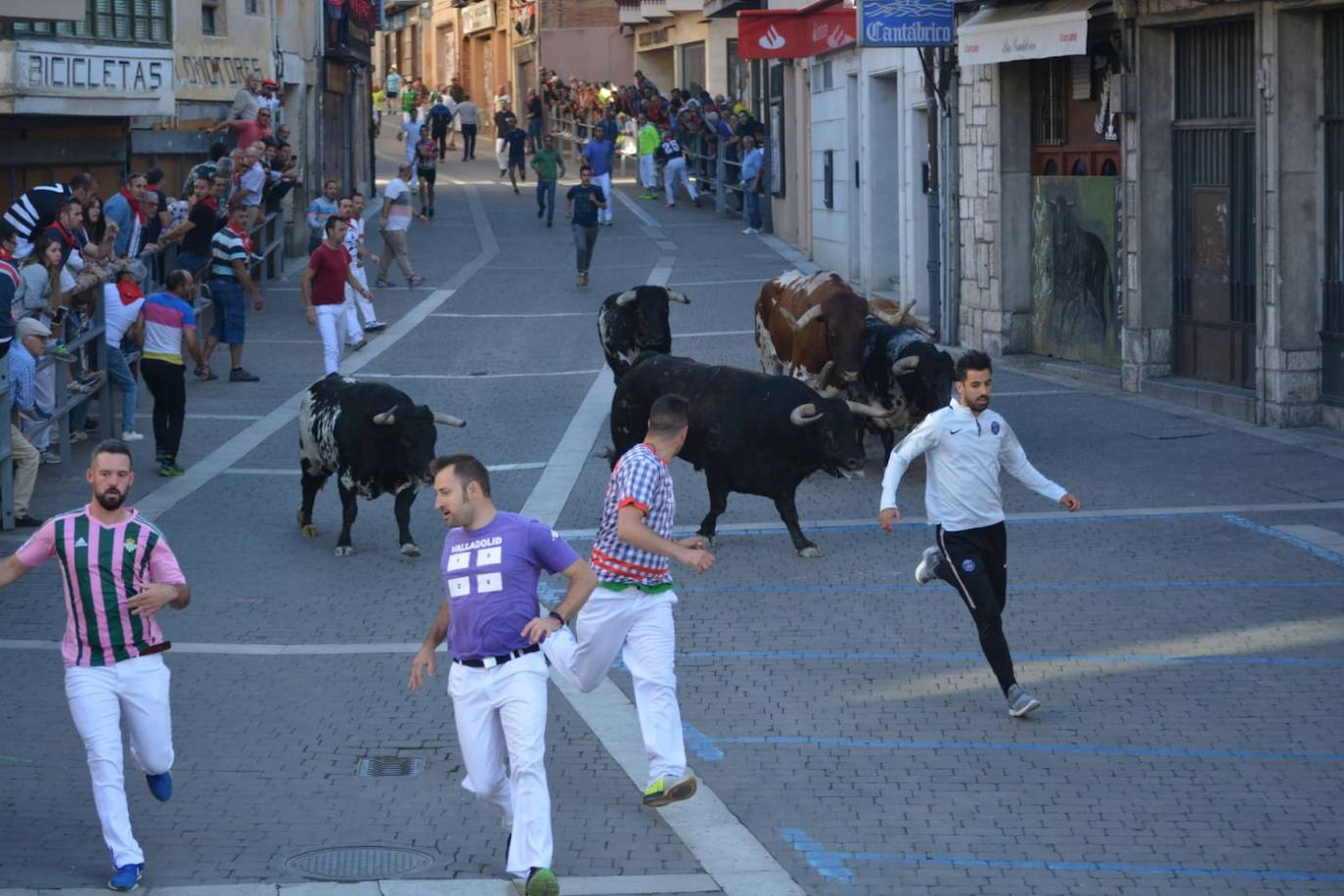 Cuarto encierro de Cuéllar