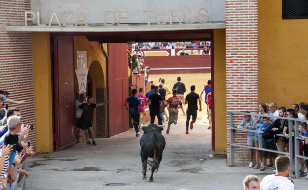 Pintura taurina y fotografías para el recuerdo vivo de las fiestas