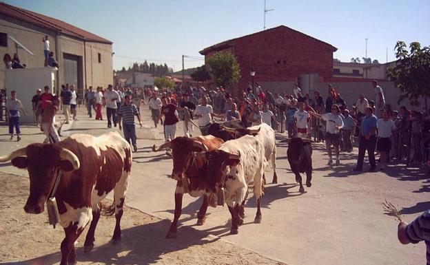 Consulta el programa de fiestas de San Miguel del Arroyo