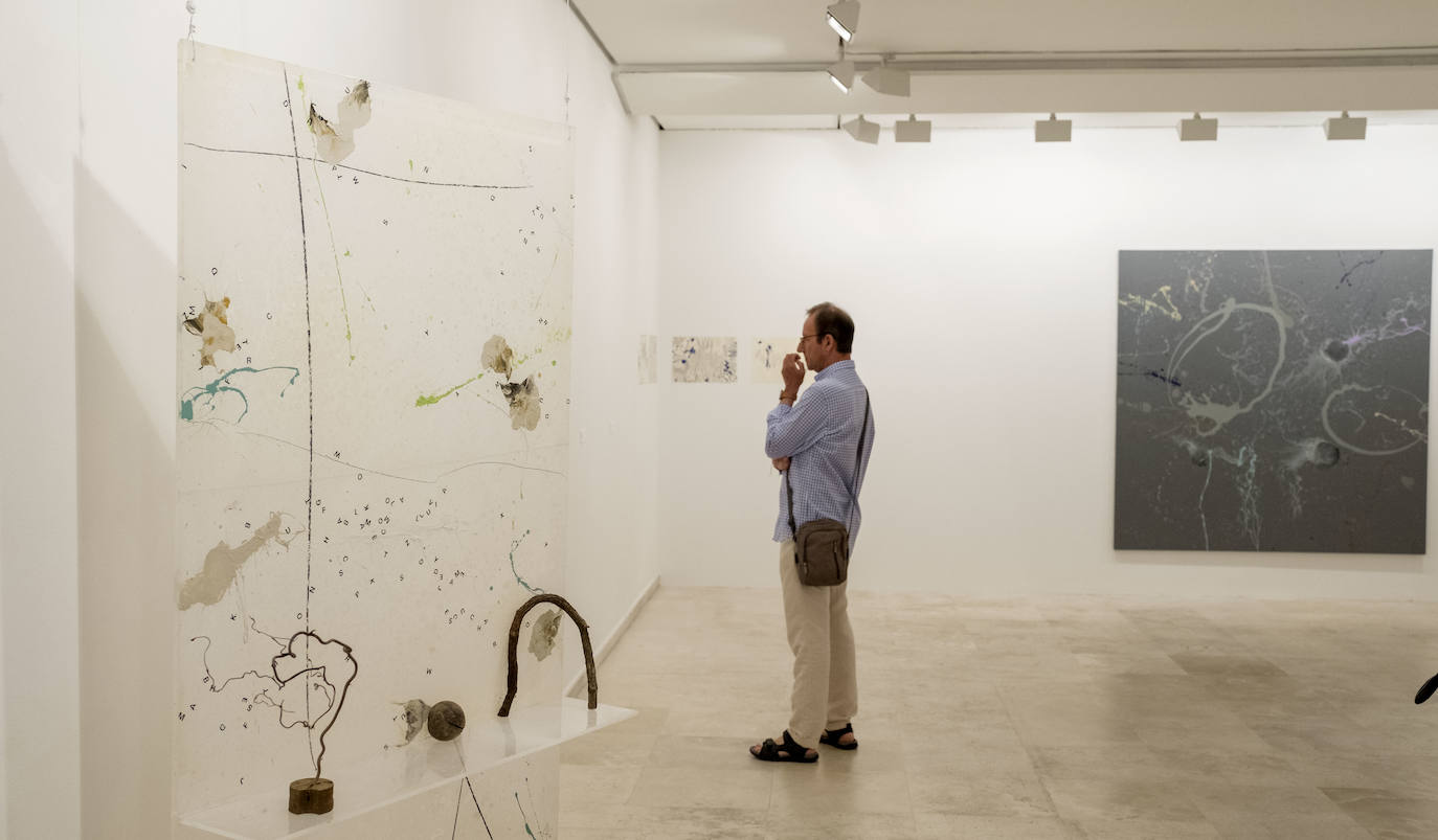 Carlos de Paz expone sus últimas obras en la Sala 0 del Museo Patio Herreriano