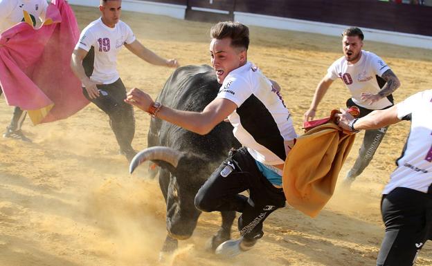 El cortador Adrián Lambás sufre un varetazo y un puntazo en los cortes de Medina del Campo