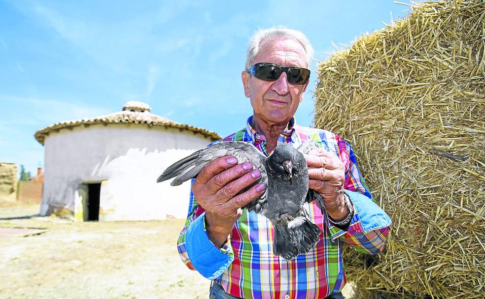 Levantar el vuelo