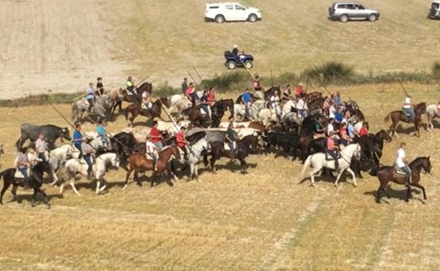 Langayo celebra un multitudinario encierro campero