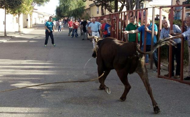 Programa de fiestas de Villafrechós
