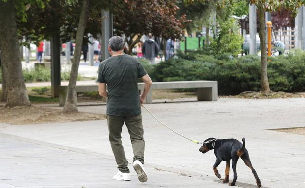 El Ayuntamiento de Zamora cobrará una tasa de nueve euros por perro para sufragar servicios