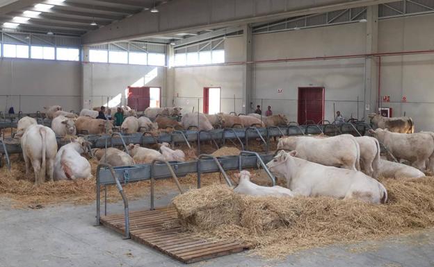 El ministro de Agricultura no estará en la inauguración de la feria salmantina