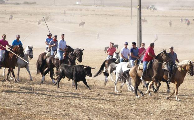 Olmedo inicia un intenso programa previo a sus fiestas en honor a San Miguel y San Jerónimo