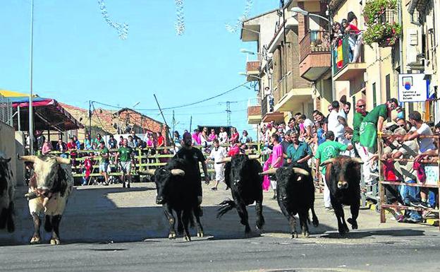 Unas fiestas muy taurinas