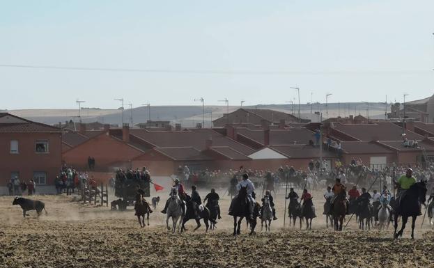 El tercer encierro de Nava del Rey, limpio y sin incidentes