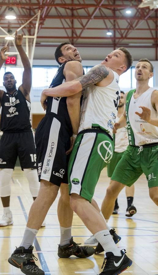El Carramimbre Ciudad de Valladolid vence al Cáceres en el Trofeo Diputación (91-74)