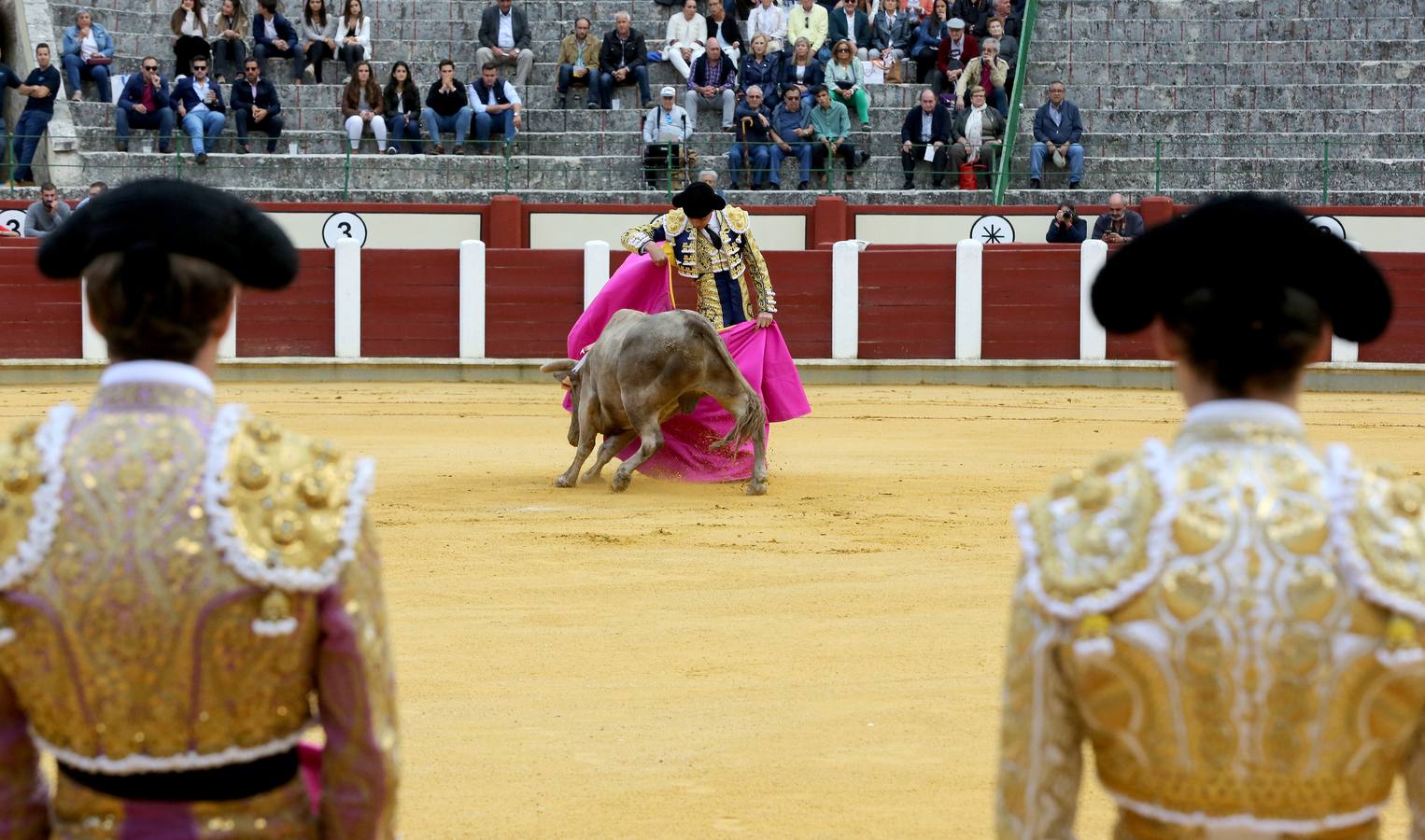 Novillada en la plaza de toros de Valladolid
