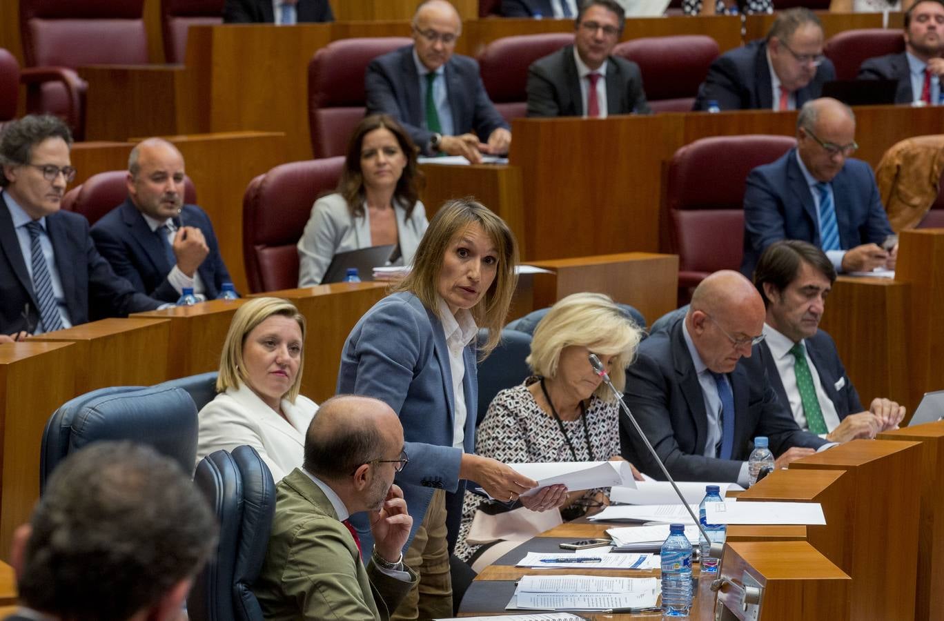 Pleno de las Cortes de Castilla y León