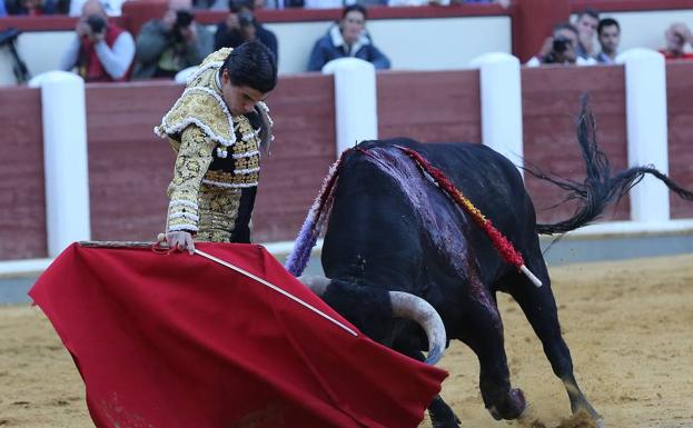 Un Aguado valiente corta una oreja de ley