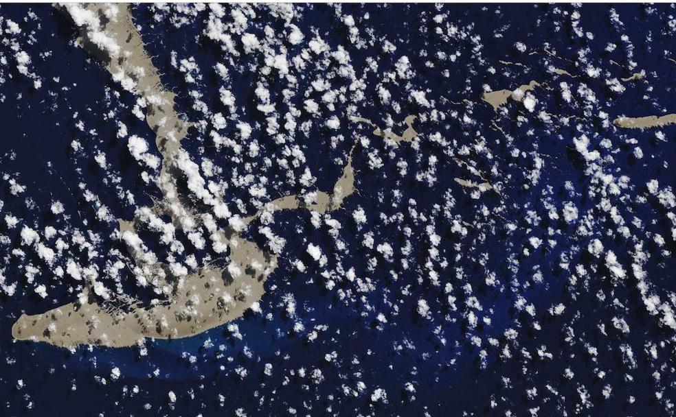 El milagro que salvará al gran arrecife de coral