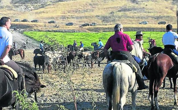 Toros y música para la fiesta grande en Vallelado