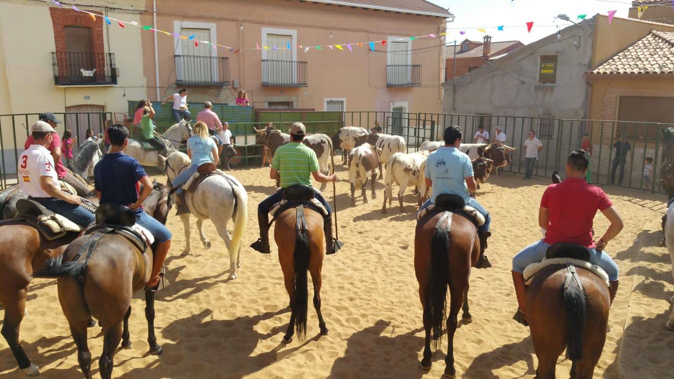 Consulta aquí el programa de fiestas de Peñaflor de Hornija