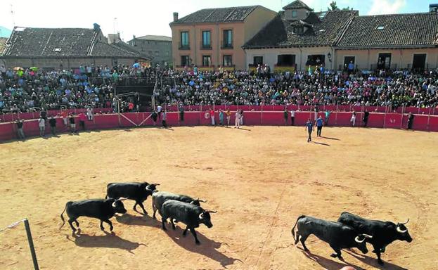 El toro como protagonista