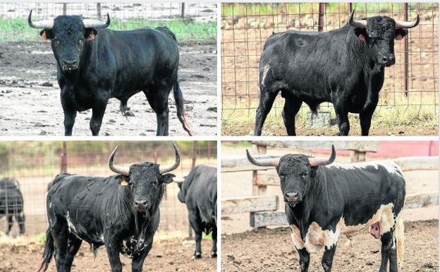 Riaza se suma a la pasión por el corte con un concurso de primer nivel