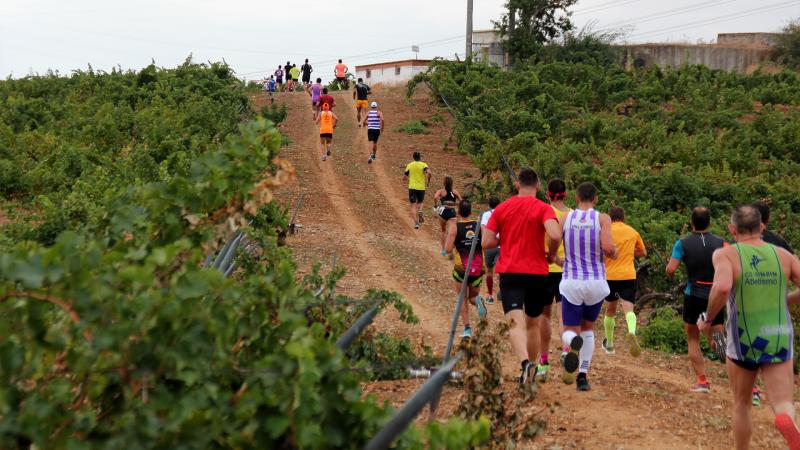 Más de 300 atletas participan en la carrera 'Corriendo entre viña' de Rueda (1/2)
