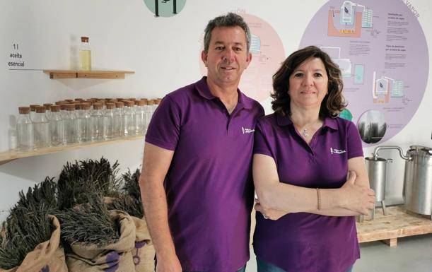 Tiedra, un aromático destino turístico en torno a la lavanda