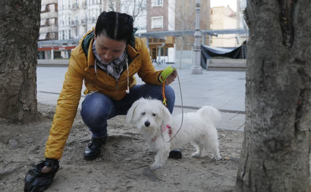 El impuesto al perro, una tasa con escasa aplicación en Castilla y León