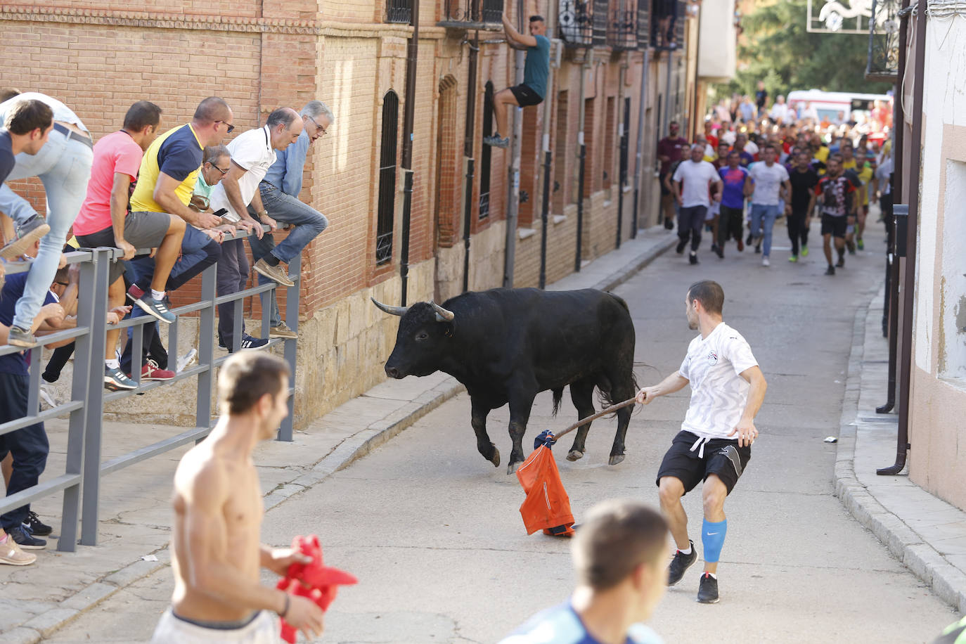 Toro de pueblo en Astudillo