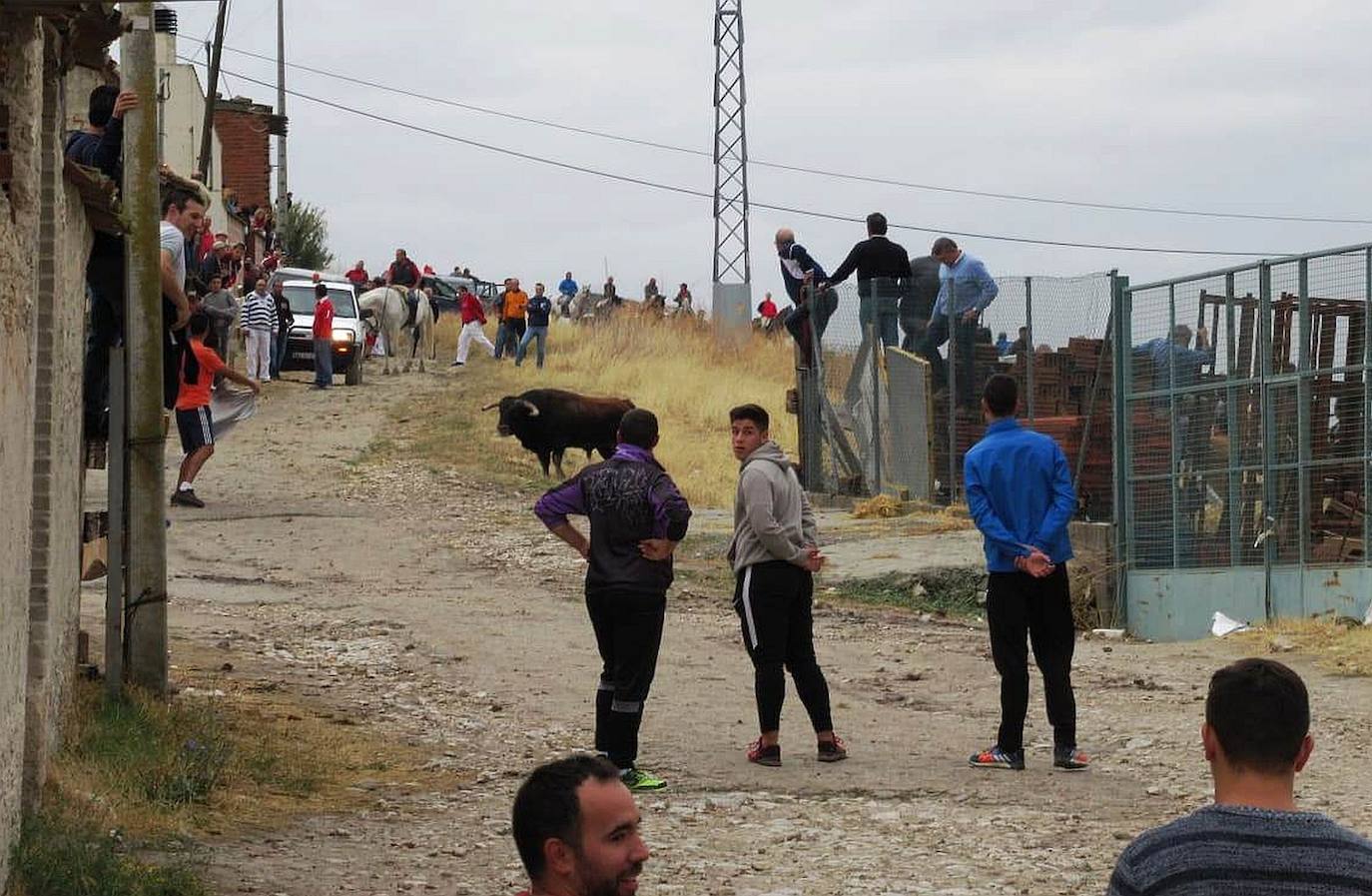 La música y los festejos taurinos protagonizan las fiestas de Vallelado