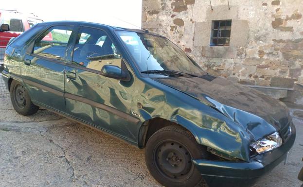 Sin rastro del oso pardo herido en un accidente de coche en Brañosera