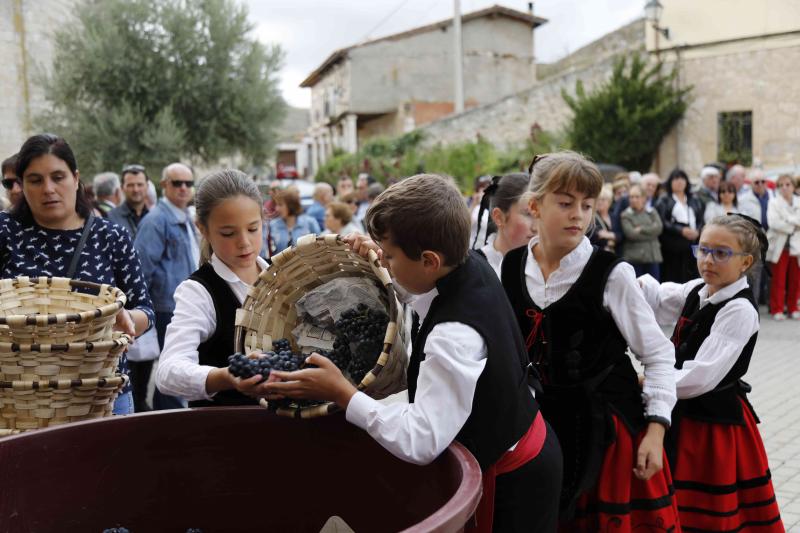 Los niños, protagonistas de la Fiesta de la Vendimia de Curiel de Duero