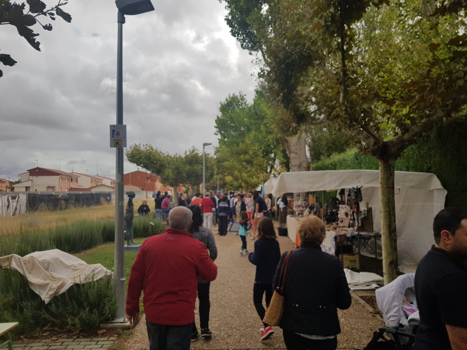 Serrada cierra la Fiesta de la Vendimia con éxito