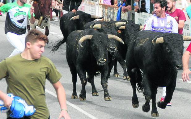 Celtas Cortos vuelve a llenar Nava de la Asunción, que despide sus fiestas patronales