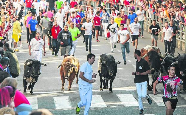 Los colectivos reconocen la labor de los caballistas durante los encierros de Cuéllar