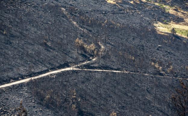 Barreras y desvíos de arroyos salvan el estanque del Mar de las cenizas del incendio de La Granja