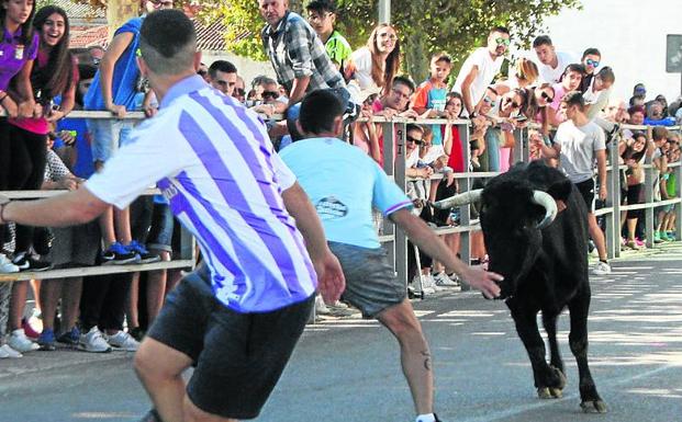 El Ayuntamiento quiere convertir San Miguel en las fiestas menores de Cuéllar