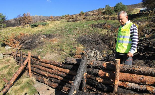 La Junta acelera la restauración del monte de la sierra de Guadarrama abrasado en el incendio de agosto