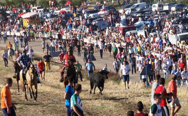 Un vecino de Pedrajas, herido por una cornada en el encierro de Olmedo