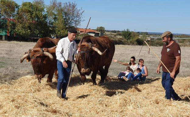Los vecinos de Fuenterroble de Salvatierra recuerdan sus tiempos de trilla con la novedad de las fiestas