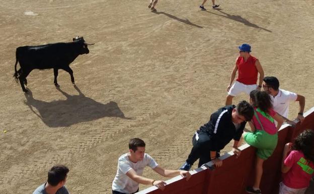 Programa de fiestas de Mojados