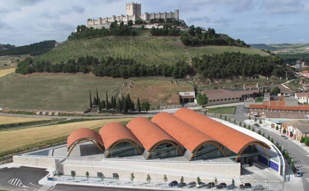 Protos invita a ser 'Enólogo por un día' para conocer el ensamblaje