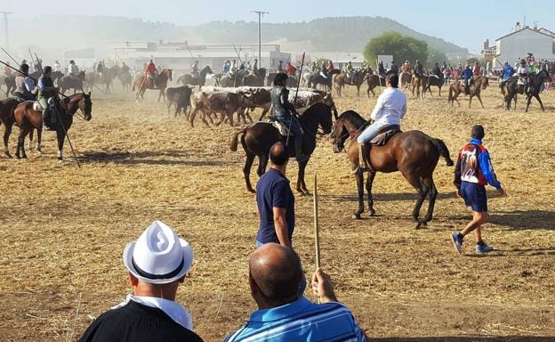 Planes imprescindibles para este fin de semana en la provincia de Valladolid