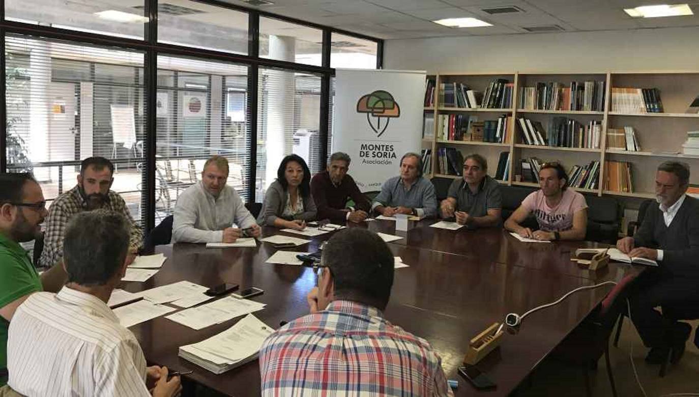 Septiembre se salda con la expedición de más de 8.000 permisos micológicos en Soria