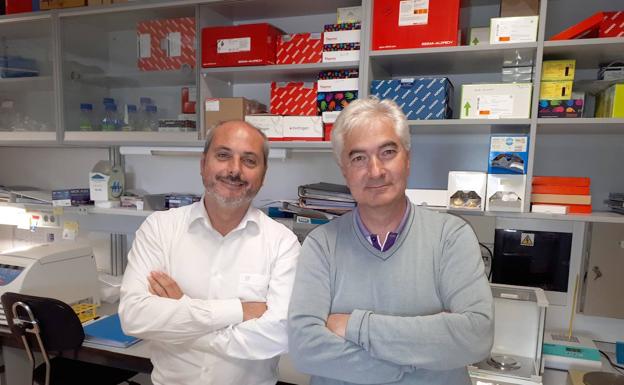 Investigadores salmantinos colaboran en un estudio sobre fármacos efectivos en el cáncer de mama triple negativo